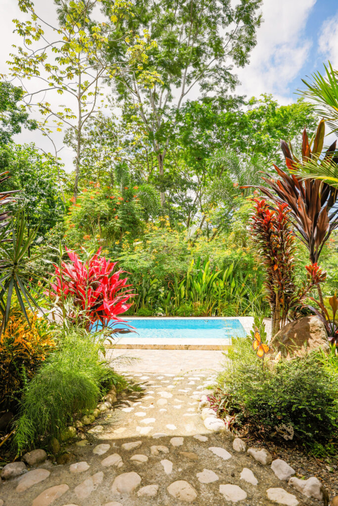 Entry Path to Pool Luxury Synergy Retreats Costa Rica